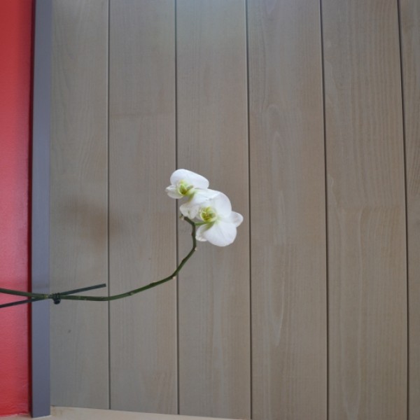 lambris sur mesure 22